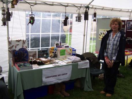 A short description about the picture goes here