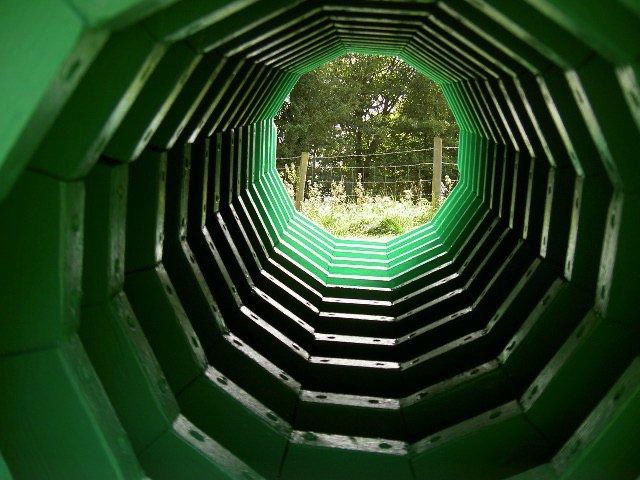 A short description about the picture goes here